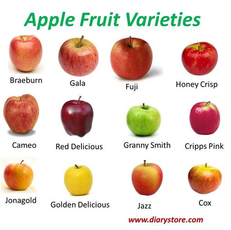 Image result for Code Review Classification