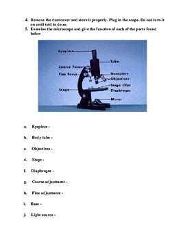 Microscope Lab Activity 的图像结果