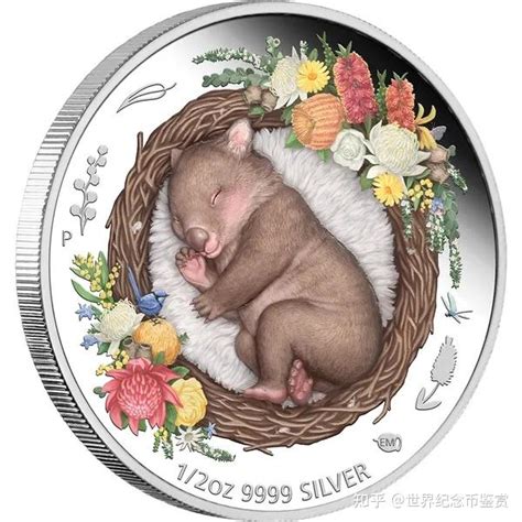 梦境之下-袋熊宝宝-2021年澳大利亚银币 - 知乎