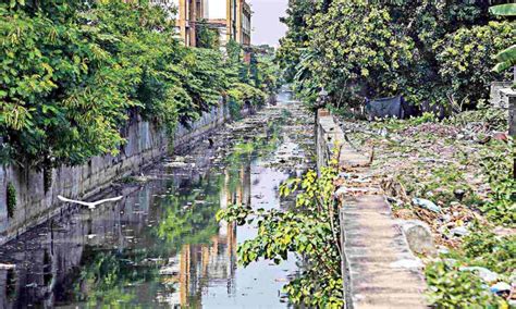 Buckingham Canal chokes while TNPCB waits for river restoration trust ...