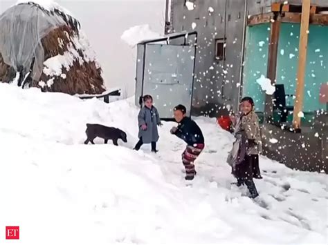 doda: Jammu and Kashmir: Fresh spell of snowfall blankets Doda; watch ...