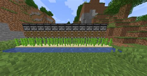 Planting Sugar Cane in Minecraft