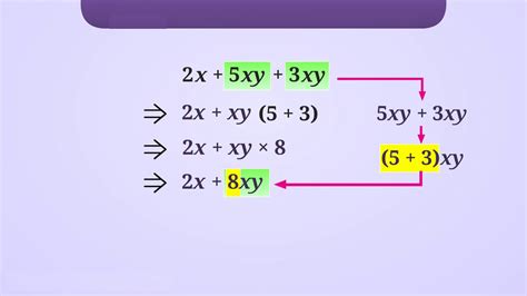 Class 7 IMO test on - Algebraic expressions – Olympiad tester