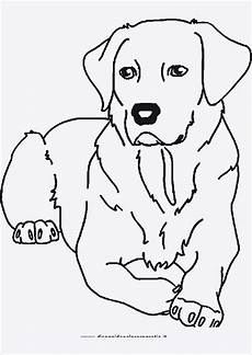 malvorlagen tiere gratis 68 ausmalbilder tiere kostenlos zum ausdrucken malvorlagen tiere gratis 68 ausmalbilder tiere kostenlos zum ausdrucken