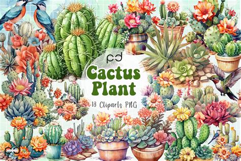 Cactus Plant Clipart PNG Graphics Graphic by Padma.Design · Creative ...