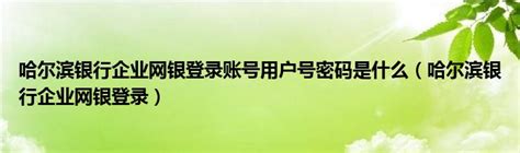 哈尔滨银行企业网银登录账号用户号密码是什么（哈尔滨银行企业网银登录）_车百科