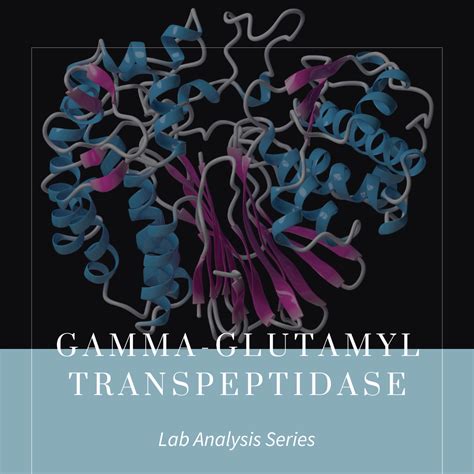 Gamma-Glutamyl Transpeptidase (GGT): What Highs and Lows Mean in ...