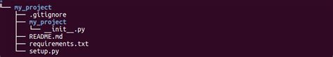 Python Project Folder Structure 的图像结果