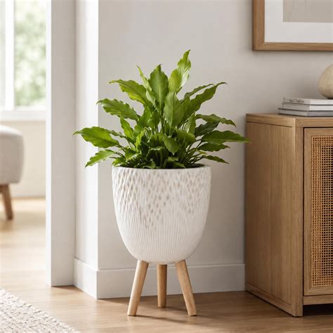 Buy Tri-Leg Textured Fiber Clay Planter - Off White Online – Nilkamal Homes