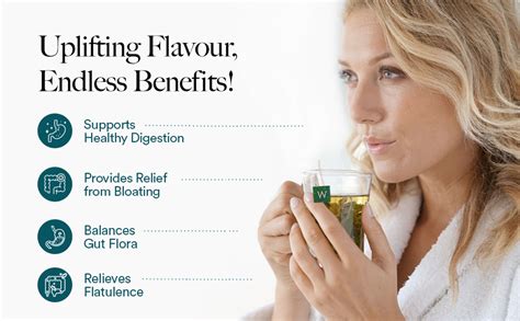 Wellbeing Nutrition Digest Green Tea | Digestive Tea with Probiotics ...