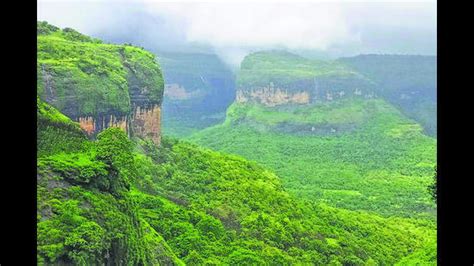 Forest department Introduces grassland safari in Solapur