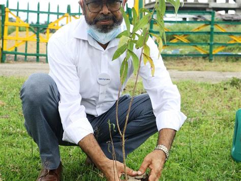 CFlo launches its Carbon Offset Program | CFlo