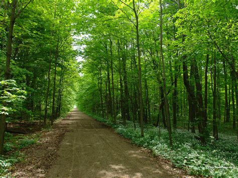 Spring Rain Desktop 的图像结果