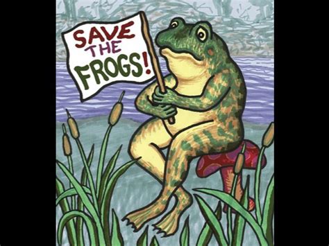 frog drawing competition meme