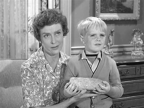 The Thirteen Best LEAVE IT TO BEAVER Episodes of Seasons Three & Four ...