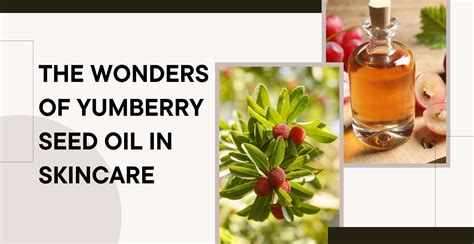 The Wonders of Yumberry Seed Oil in Skincare | Clinikally