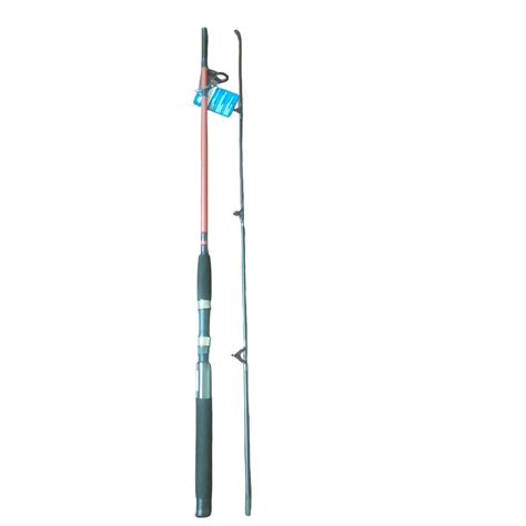 Shakespeare WILD CAT 8ft Spinning fishing Rod best for salt water ...