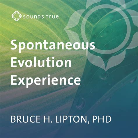 The Spontaneous Evolution Experience: The Choice to Become a New ...
