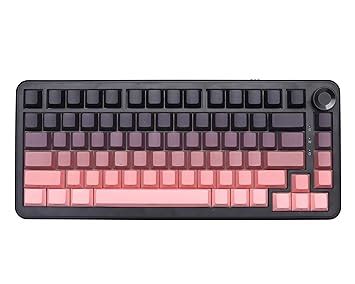 Amazon.in: Buy URX x AJAZZ AK820 MAX Plus 75% Wireless Mechanical ...