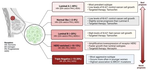 Genetic Transmission Breast Cancer at Brayden Alston blog