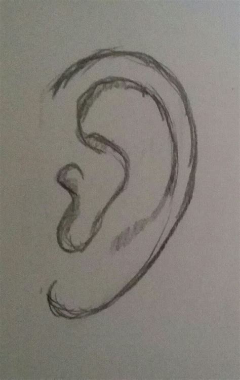 easy ear pencil drawing | Sketches, Pencil drawings easy, Pencil art drawings