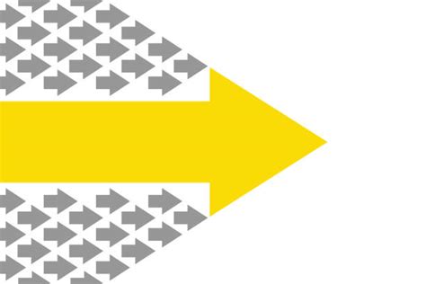 Follow 的图像结果