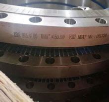 Threaded Flange and Stainless Steel Screwed/ NPT Flanges manufacturer