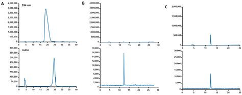 The Synthesis and Initial Evaluation of MerTK Targeted PET Agents