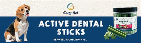 Goofy Tails Active Seaweed Dental Stick 220g, Dog Treats Vegetarian ...