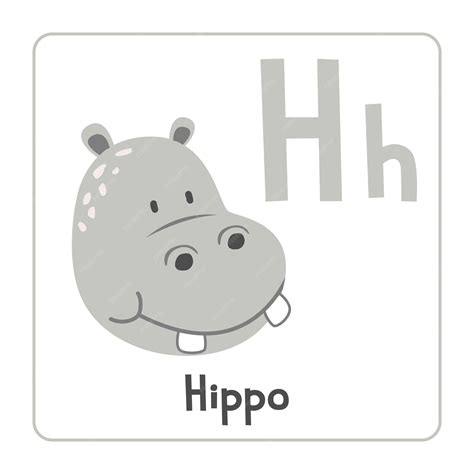 Premium Vector | Hippo clipart Hippo vector illustration cartoon flat ...