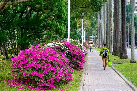 2018台湾大学门票,台北台湾大学游玩攻略,台湾大学游览攻略路线/地址/门票价格-【去哪儿攻略】