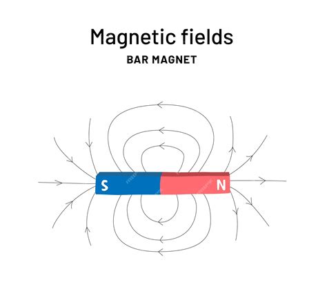 Premium Vector | Bar magnet infographic print for school magnetic ...