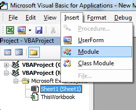 Image result for Visual Basic Insert Module