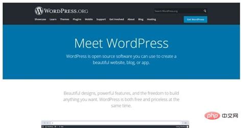 WordPress 博客平台 是什么？-欧欧colo教程网
