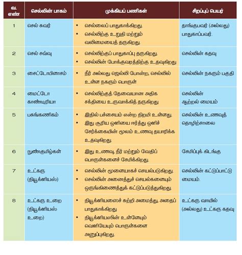 தாவர செல் மற்றும் விலங்கு செல் - செல் | பருவம் 2 அலகு 5 | 6 ஆம் வகுப்பு ...