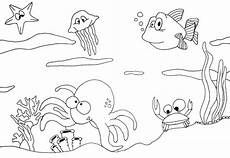 malvorlagen unterwasser ausmalbilder unterwasser ausmalbilder malvorlage finden sie die besten malvorlagen unterwasser ausmalbilder unterwasser ausmalbilder malvorlage finden sie die besten