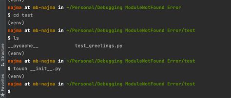 Python Project File Structure 的图像结果