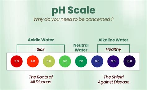 INJK Technique Magnetic Mineral-Rich Water Alkalizer