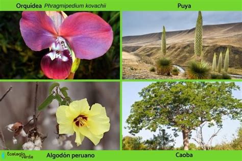Image result for Selenium Automation Testing Examples