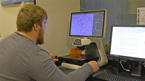 Image result for Biotechnology Degree Programs