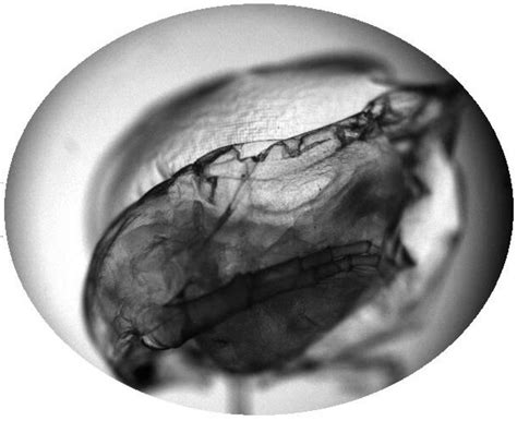 Error Analysis and Calibration Improvement of the Imaging Section in a ...