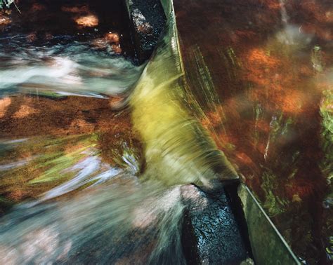 La bactérie et la goutte de pluie : une autre histoire des cycles de l'eau