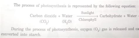 1 st step in photosynthesis - Brainly.in
