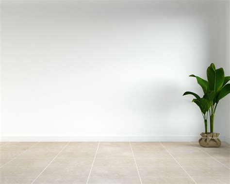What Colour Floors With White Walls - Infoupdate.org
