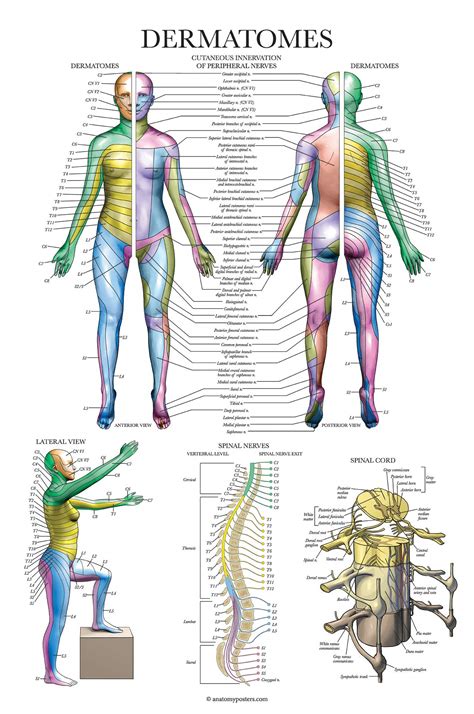 Image result for Picture of Compute Coding System