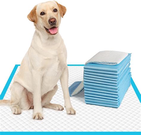 Patch & Marshall Premium Pee & Potty Training Pads XTRA LARGE SIZE Pads ...
