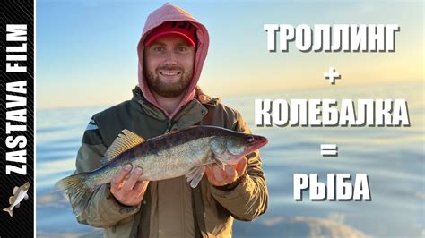 Рыбалка Троллингом и Колебалка на Рыбинском водохранилище дали МНОГО ...