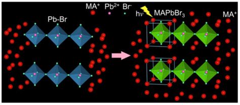 Application of Perovskite Nanocrystals as Fluorescent Probes in the ...