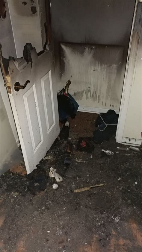 Why you shouldnt use Rubbing Alcohol to Kill Bed Bugs : r/Bedbugs