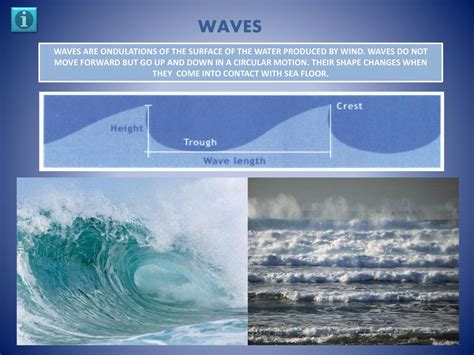 UNIT 2: THE EARTH´S PHYSICAL CHARACTERISTICS - ppt download